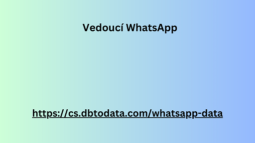 Vedoucí WhatsApp