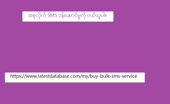 အစုလိုက် SMS ဝန်ဆောင်မှုကို ဝယ်ယူပါ။